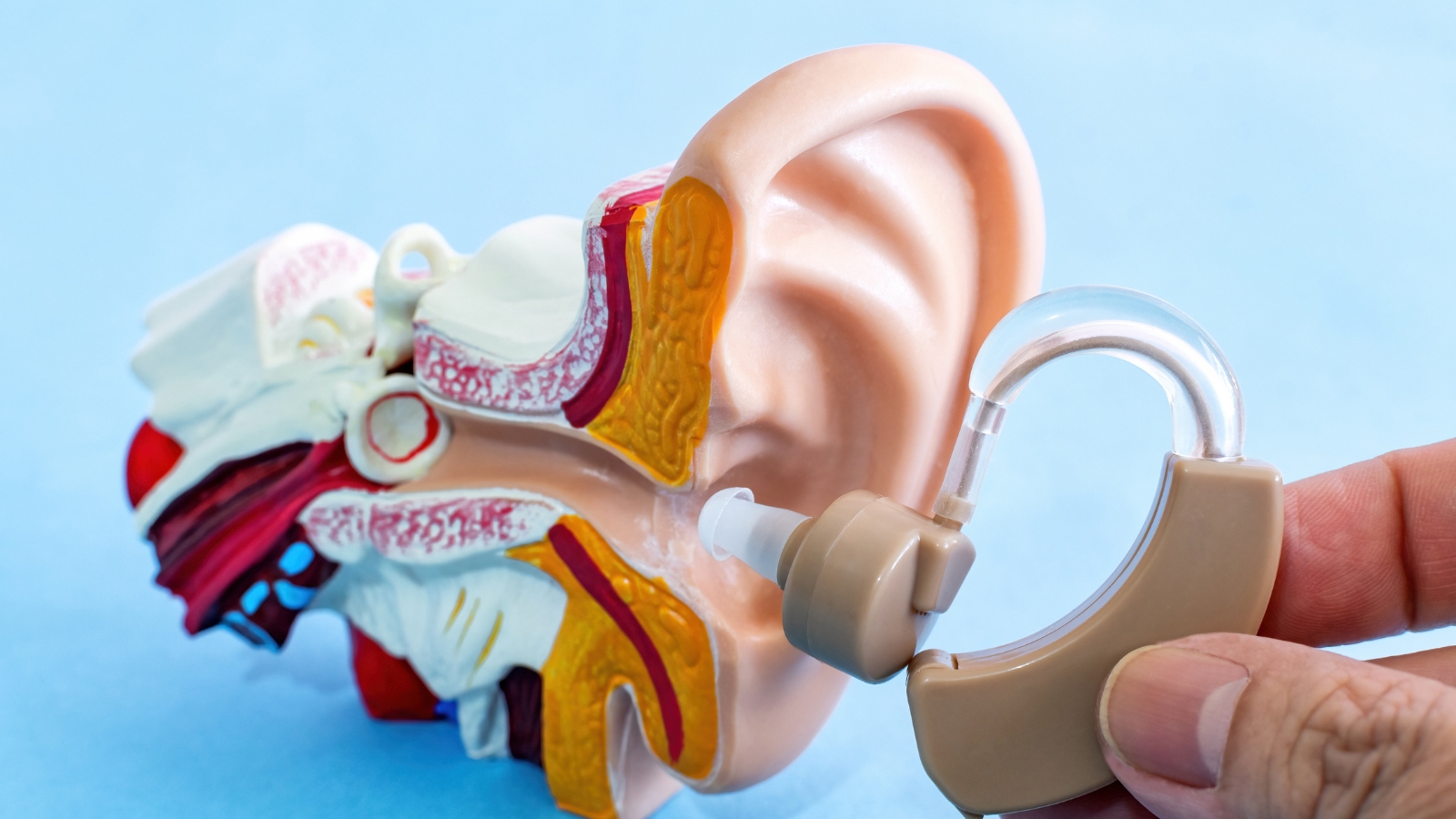 How Do Hearing Aids Actually Work The Nantwich Clinic 3478